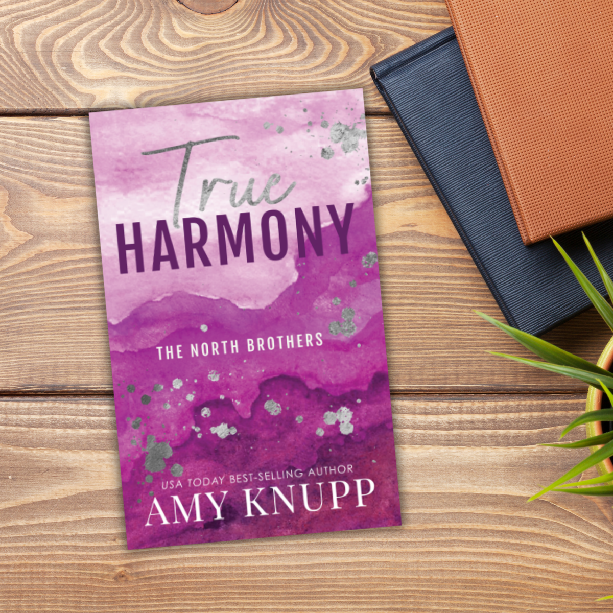 True Harmony (ebook)