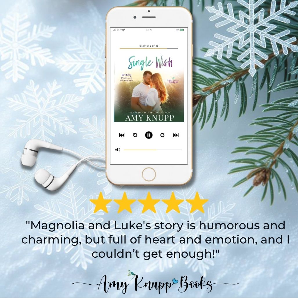 Single Wish (audiobook)