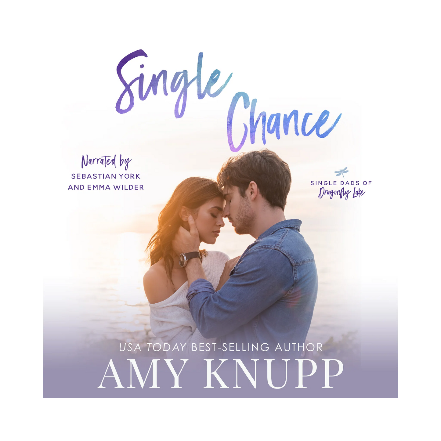 Single Chance (audiobook)