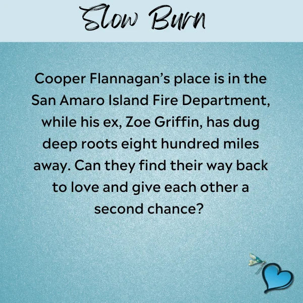 Slow Burn (ebook)