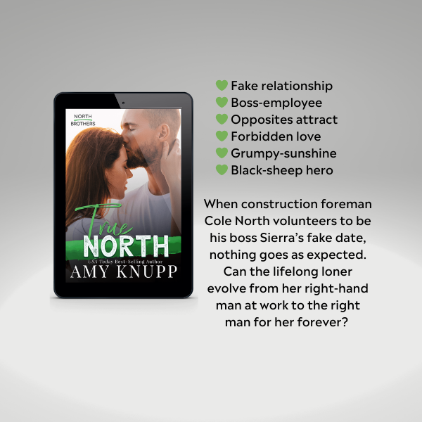 The Nashville Bundle (ebook)