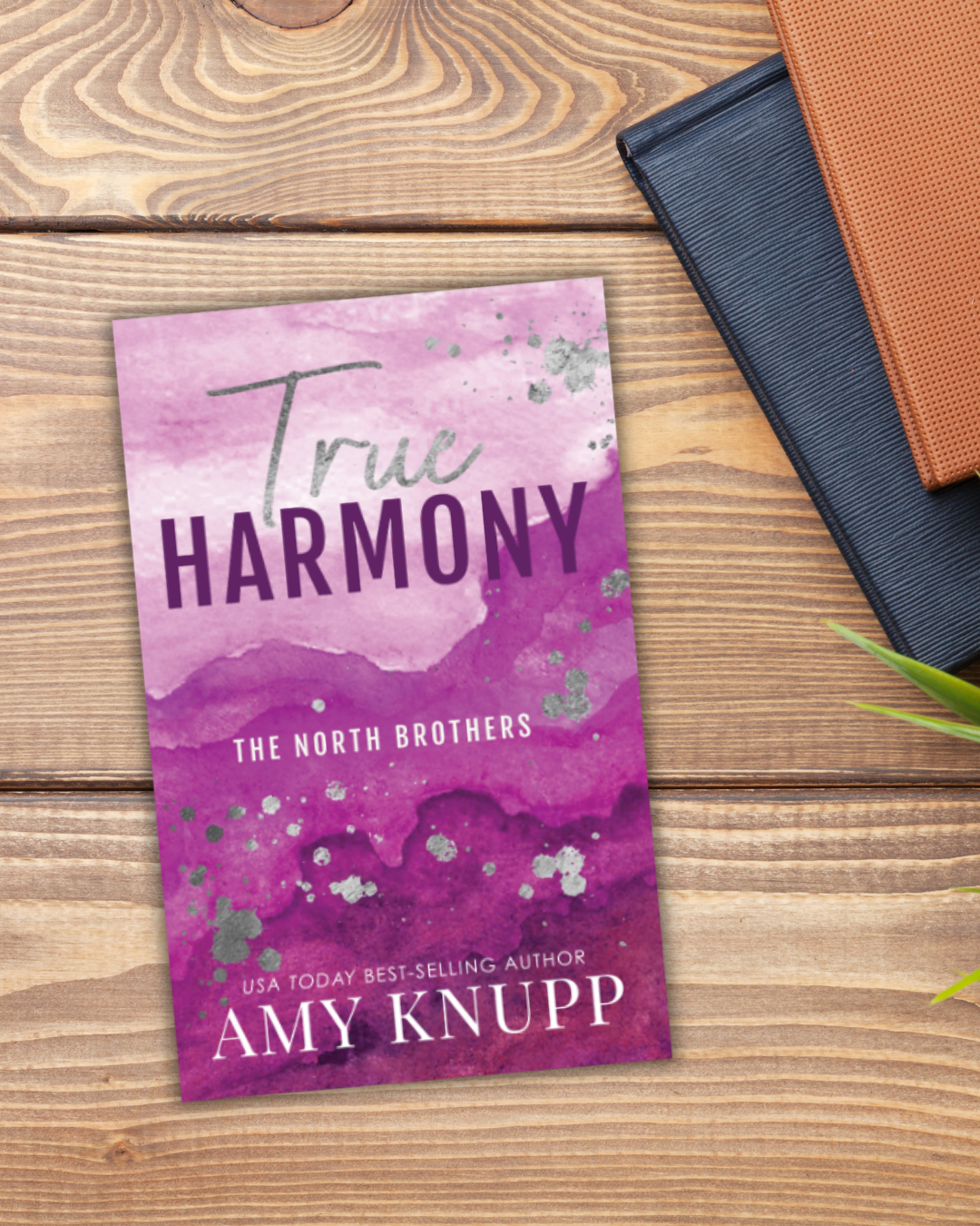True Harmony- Special Edition (paperback)