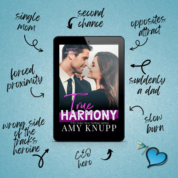 North Brothers Series + 2 bonus books (ebook)