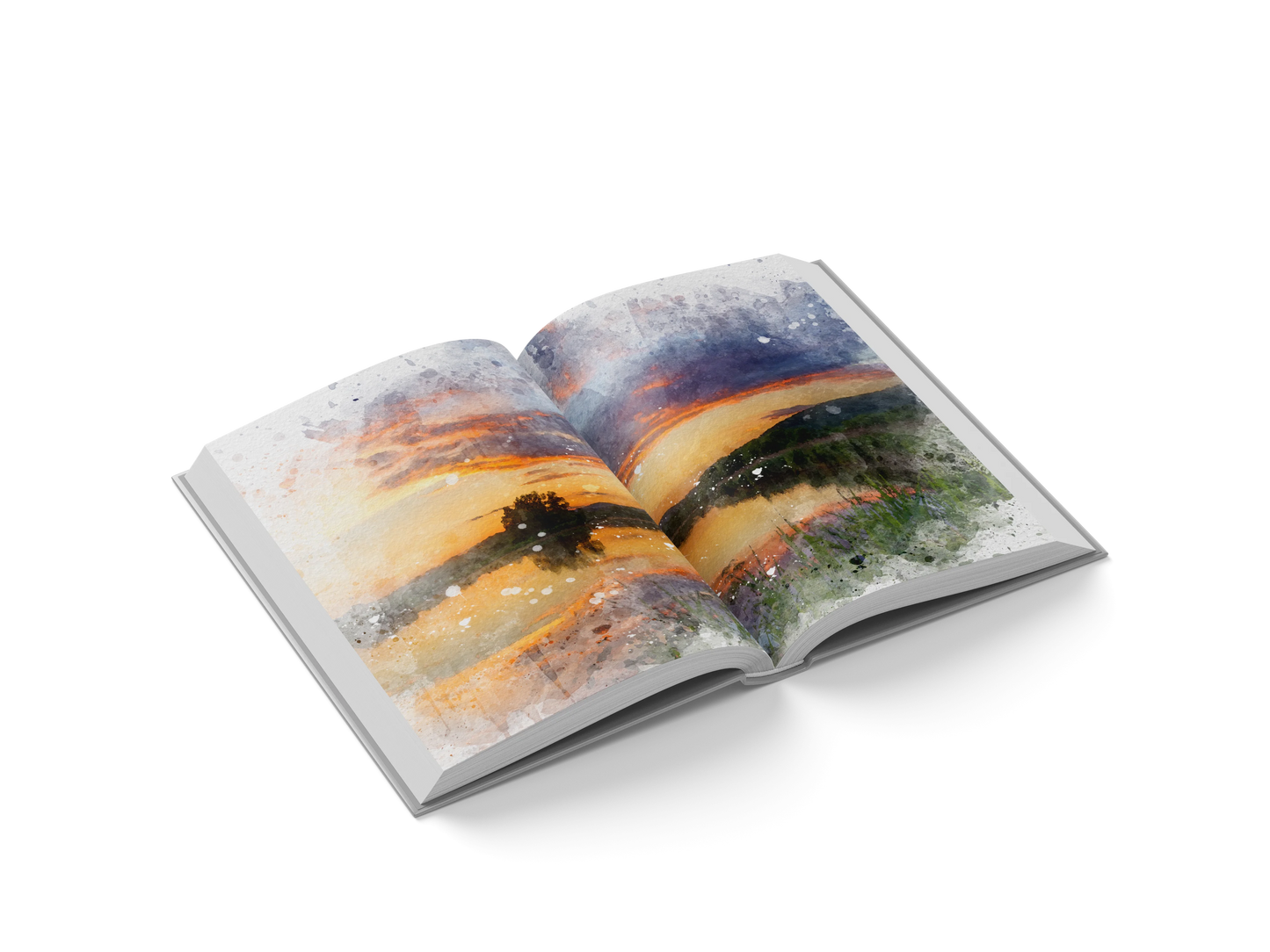 Henry Brothers Special Edition Bundle (hardcover)